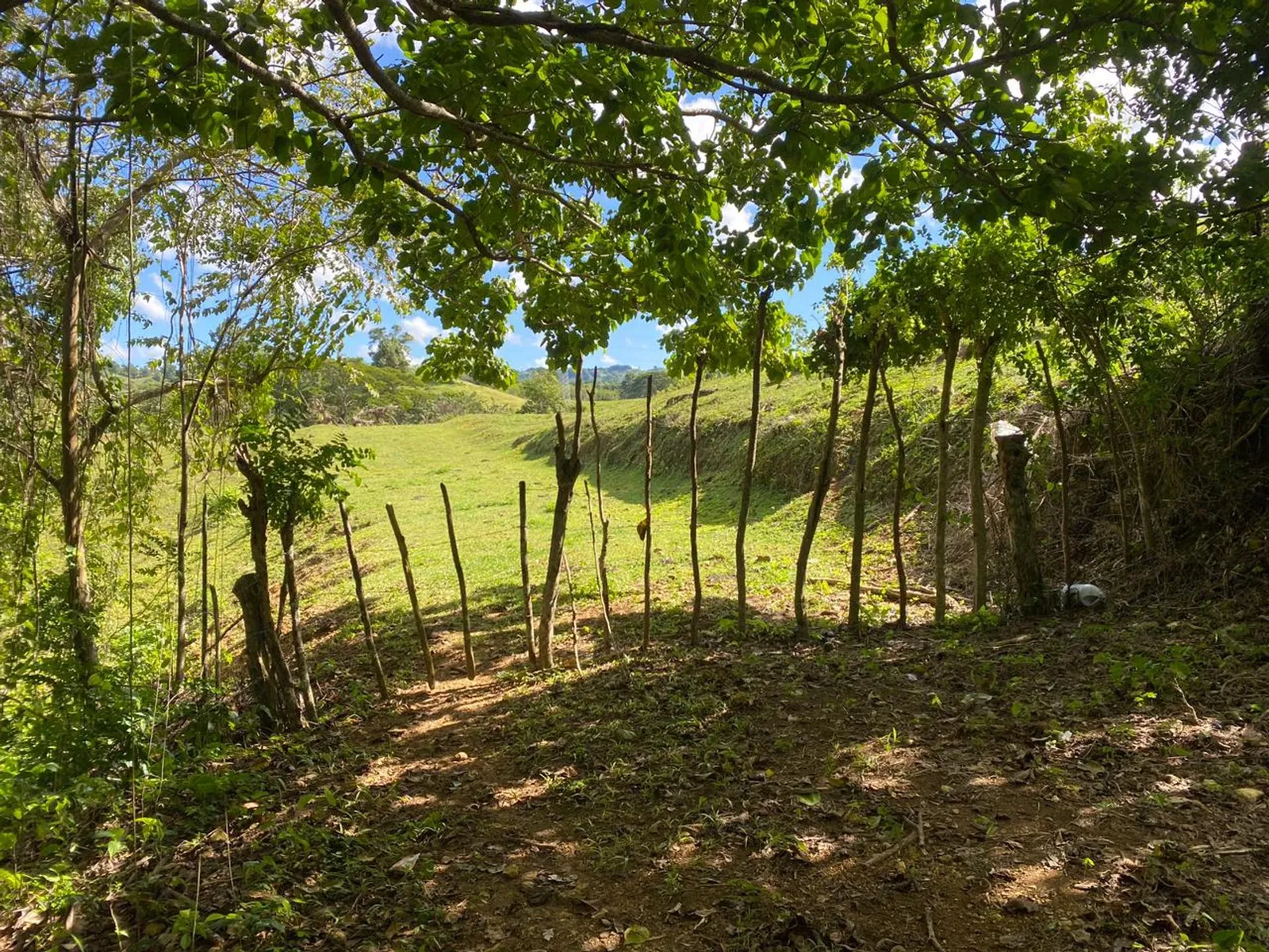 Terrain de 6 287 m² à Urb. Aurora | Rio San Juan, photo 6
