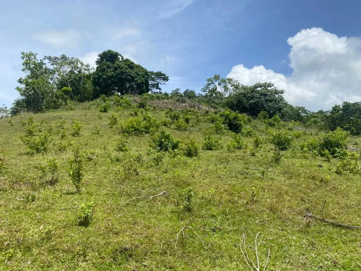 Terrain à Samaná Las Terrenas, Los Puentes, photo 5