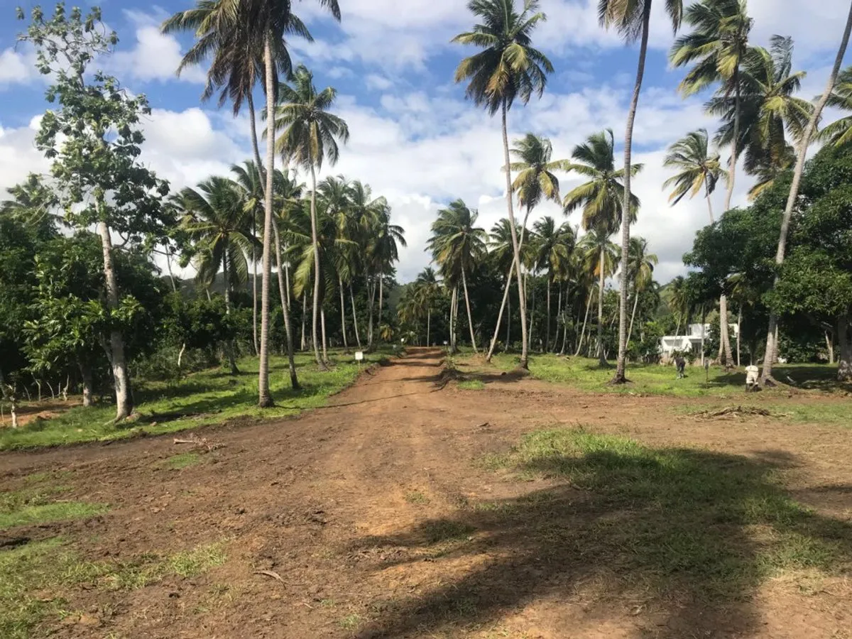 Grundstück in Santa Bárbara, Samaná, Foto 3