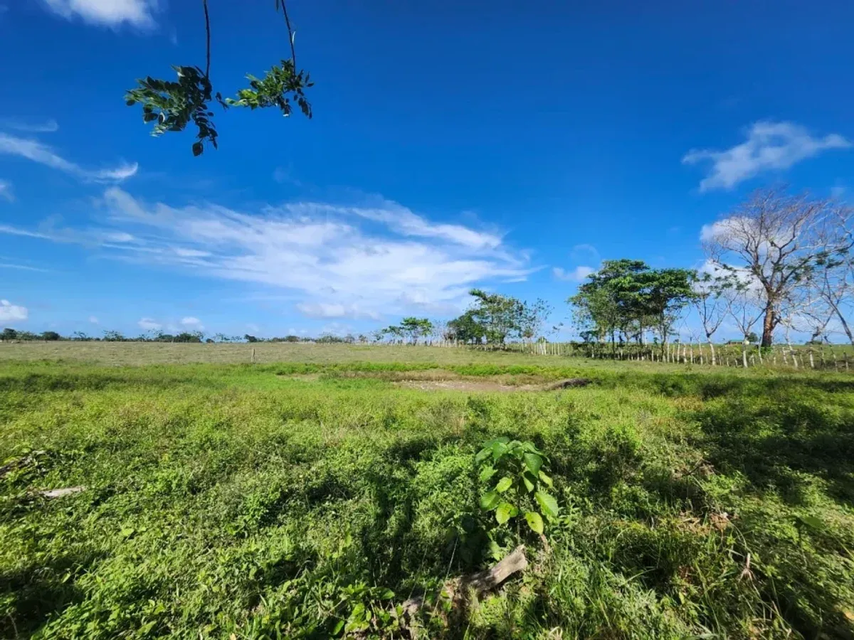 Terreno in Vendita a El Macao, 11,319 m², foto 4