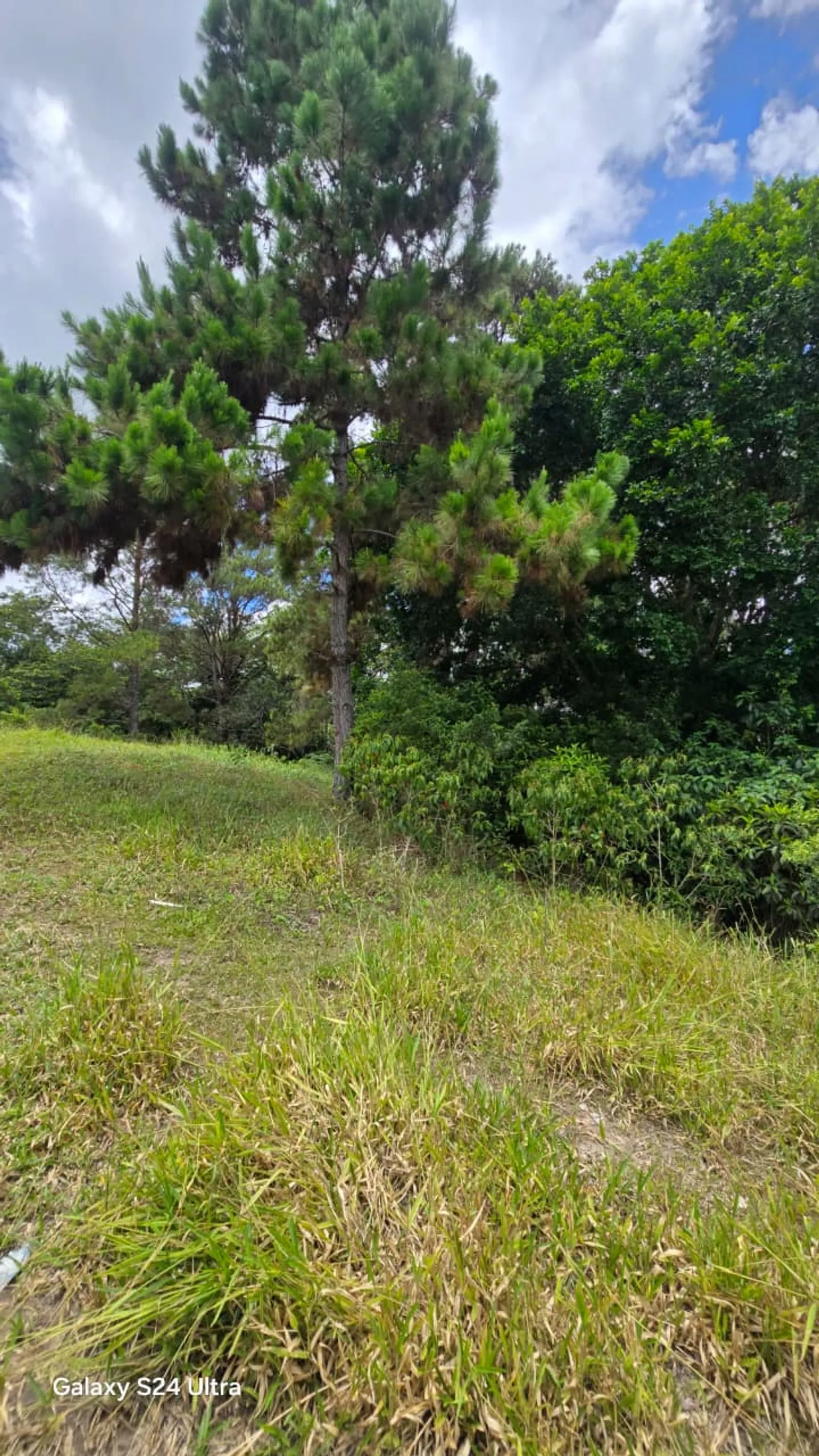 Terreno en Jarabacoa, foto 8