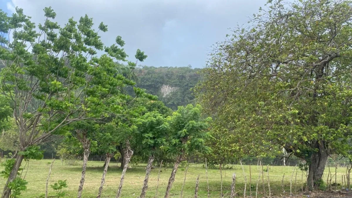 Terrain à Cabrera, Secteur Abreu, photo principale