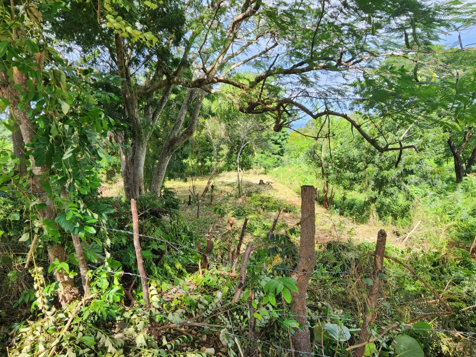 Corazón de Sosúa: Terreno en Venta en el Centro, foto 8