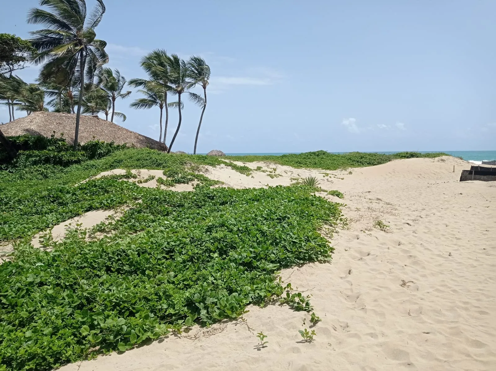 MEERESGRUNDSTÜCK IN CABARETE – 1.360 VERFÜGBAR, Hauptfoto