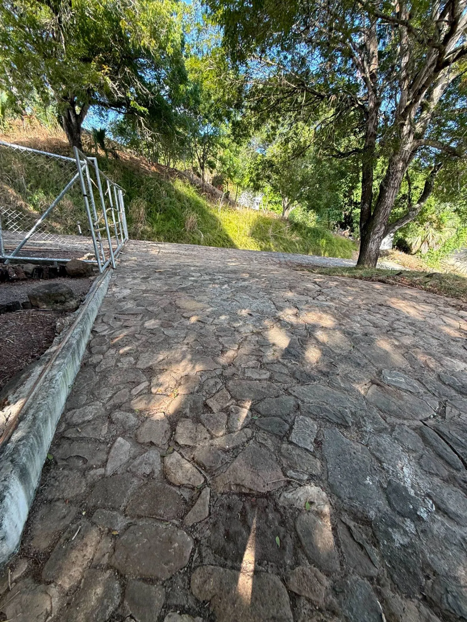 Terrain à Gurabo Arriba, Santiago, photo 9