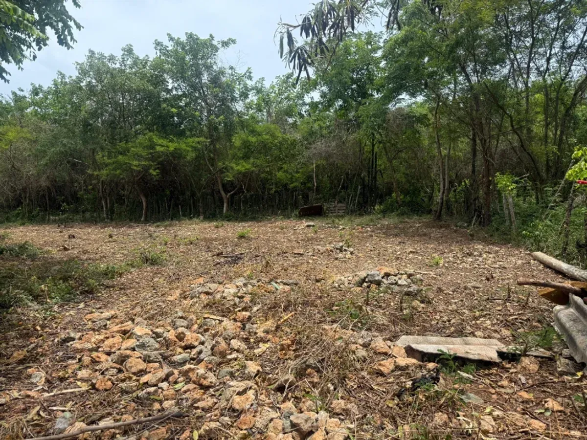 Terreno amplio en venta en Juan Dolio, foto 4