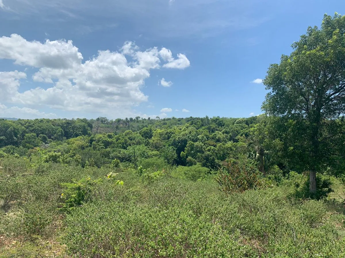 Land in Alto De Los Castillos, Sosúa, photo 3