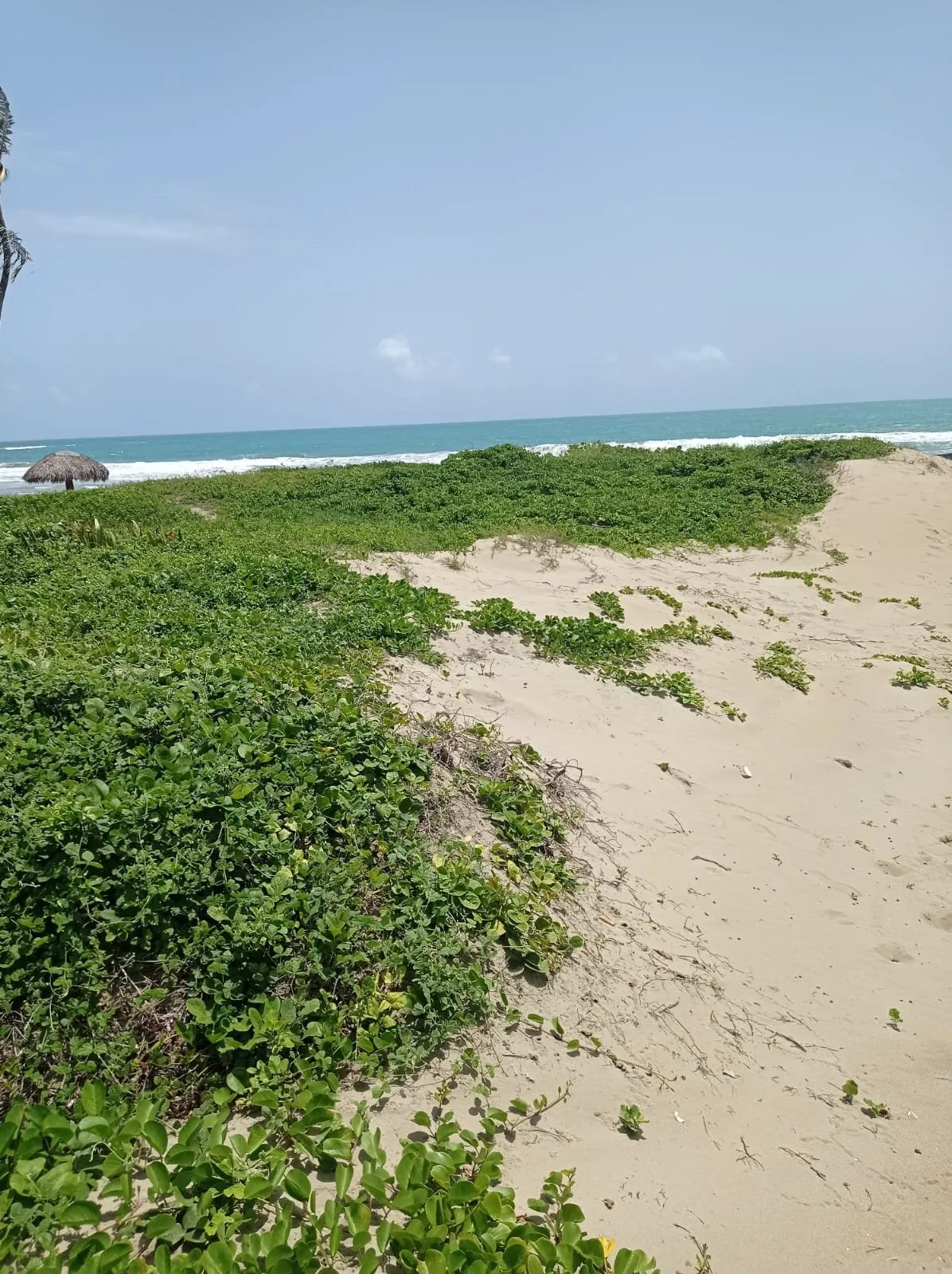 MEERESGRUNDSTÜCK IN CABARETE – 1.360 VERFÜGBAR, Foto 3