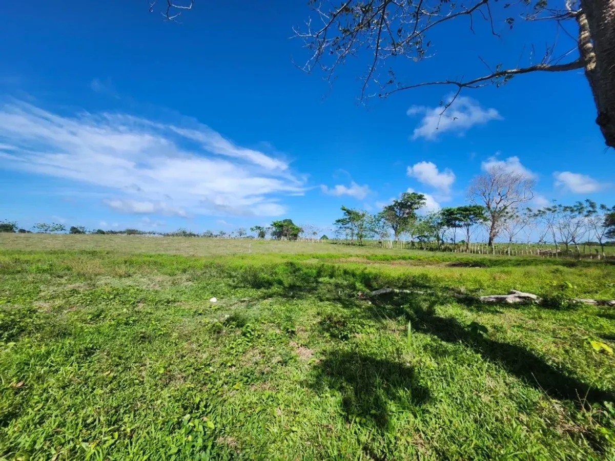 Terreno in Vendita a El Macao, 11,319 m², foto 7