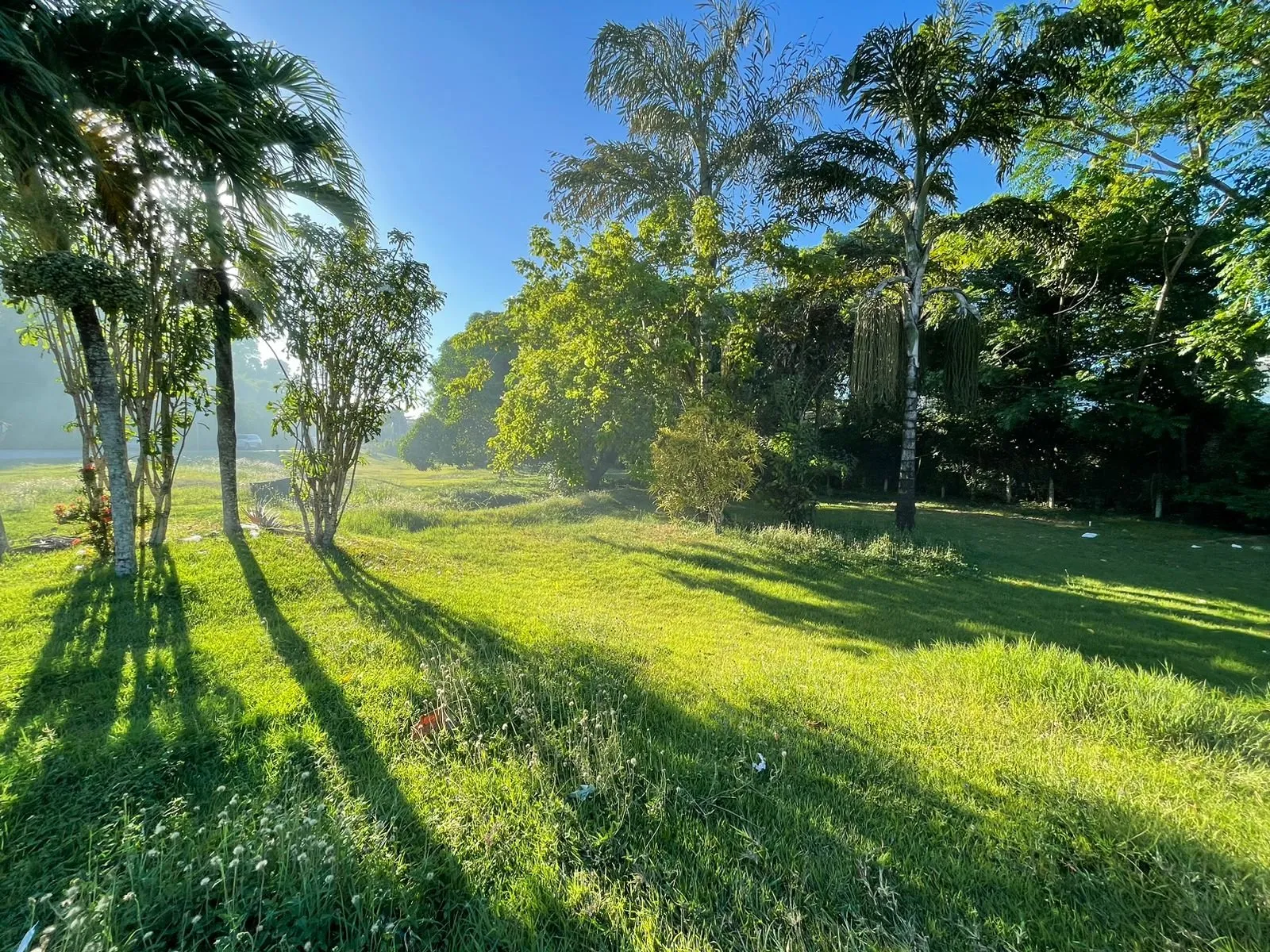 Impressionnant terrain de 2 531 mètres entre Sosúa et Cabarete, photo 3
