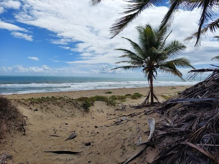 NUOVA OFFERTA – TERRENO FRONTE MARE – CABARETE, foto 8
