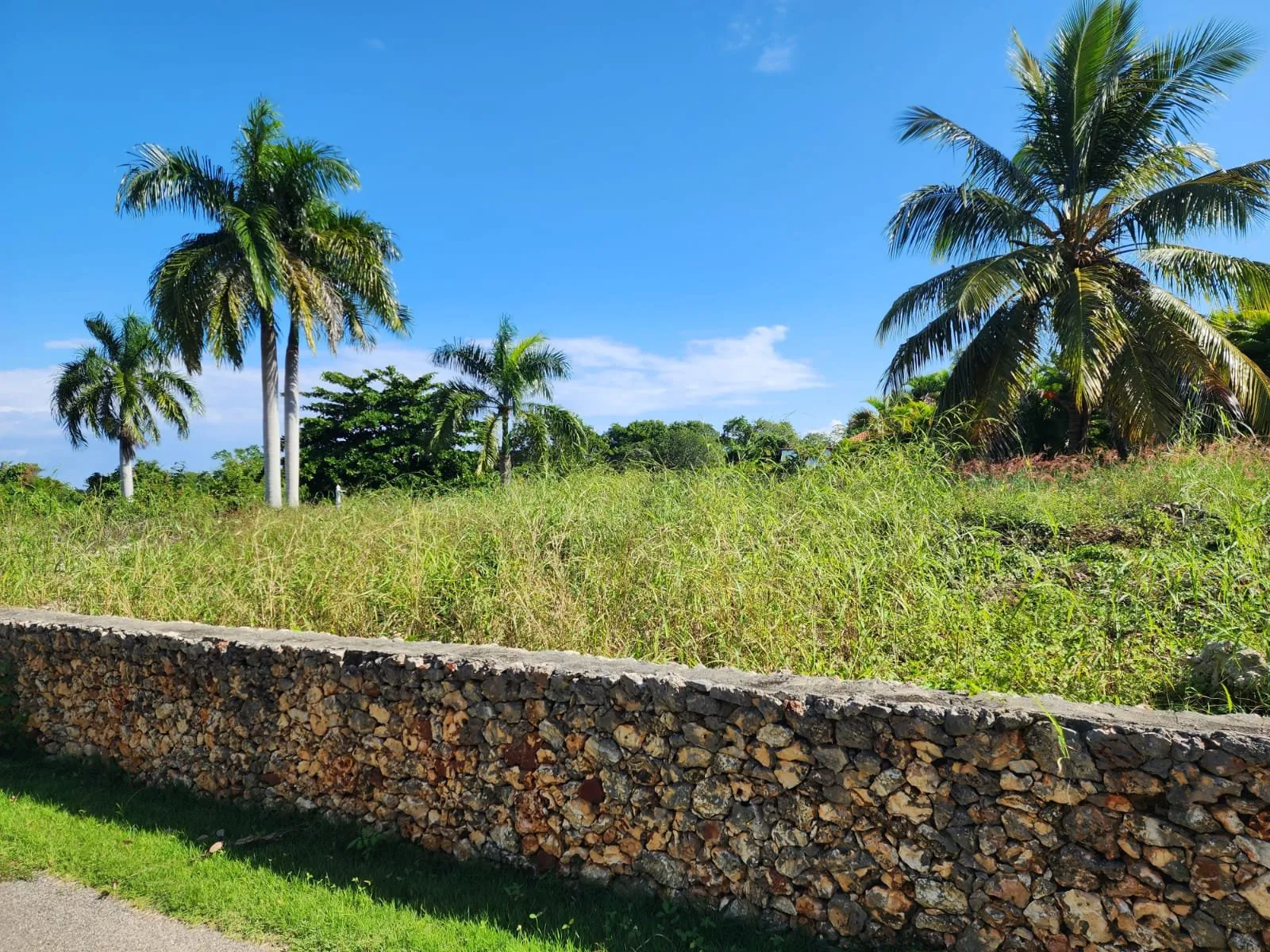 OPPORTUNITÉ DE TERRAIN – À CABARETE, photo 9