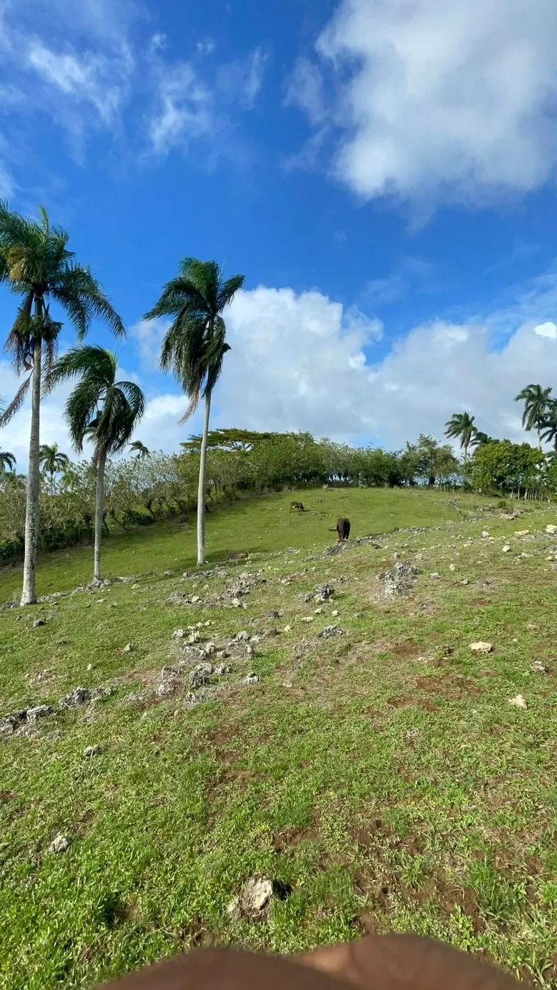OFFRE MERVEILLEUSE – TERRAIN À RÍO SAN JUAN, USD$ 402,688