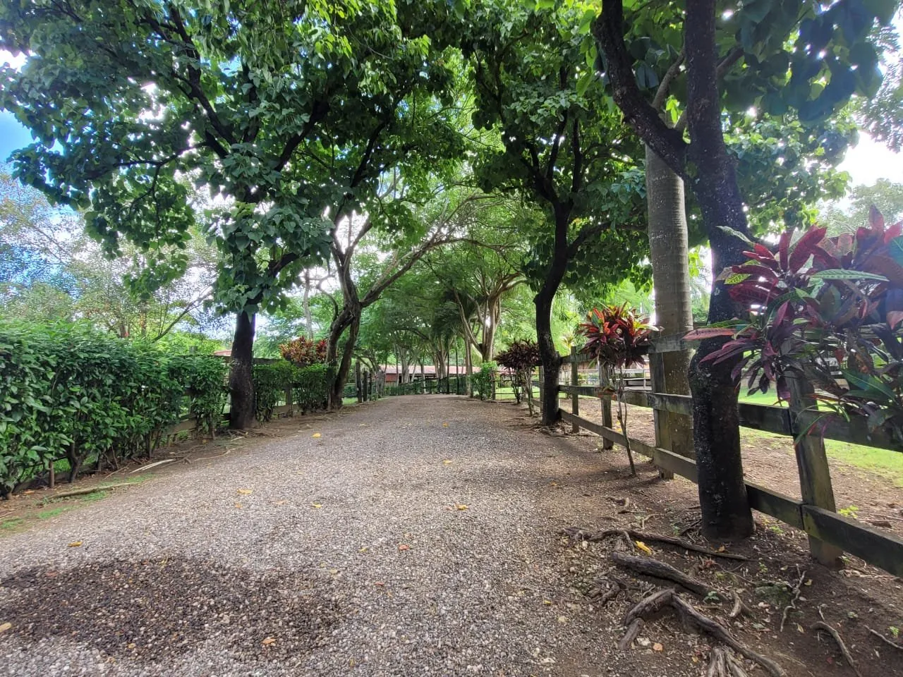 IN VENDITA – TENUTA DI CAMAGNA, foto 13
