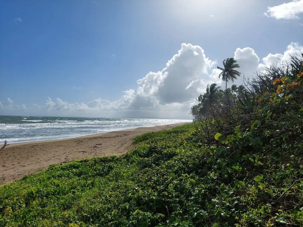 TERRAZZA IN ZONA ESCLUSIVA FRONTE MARE – CABARETE, foto 3