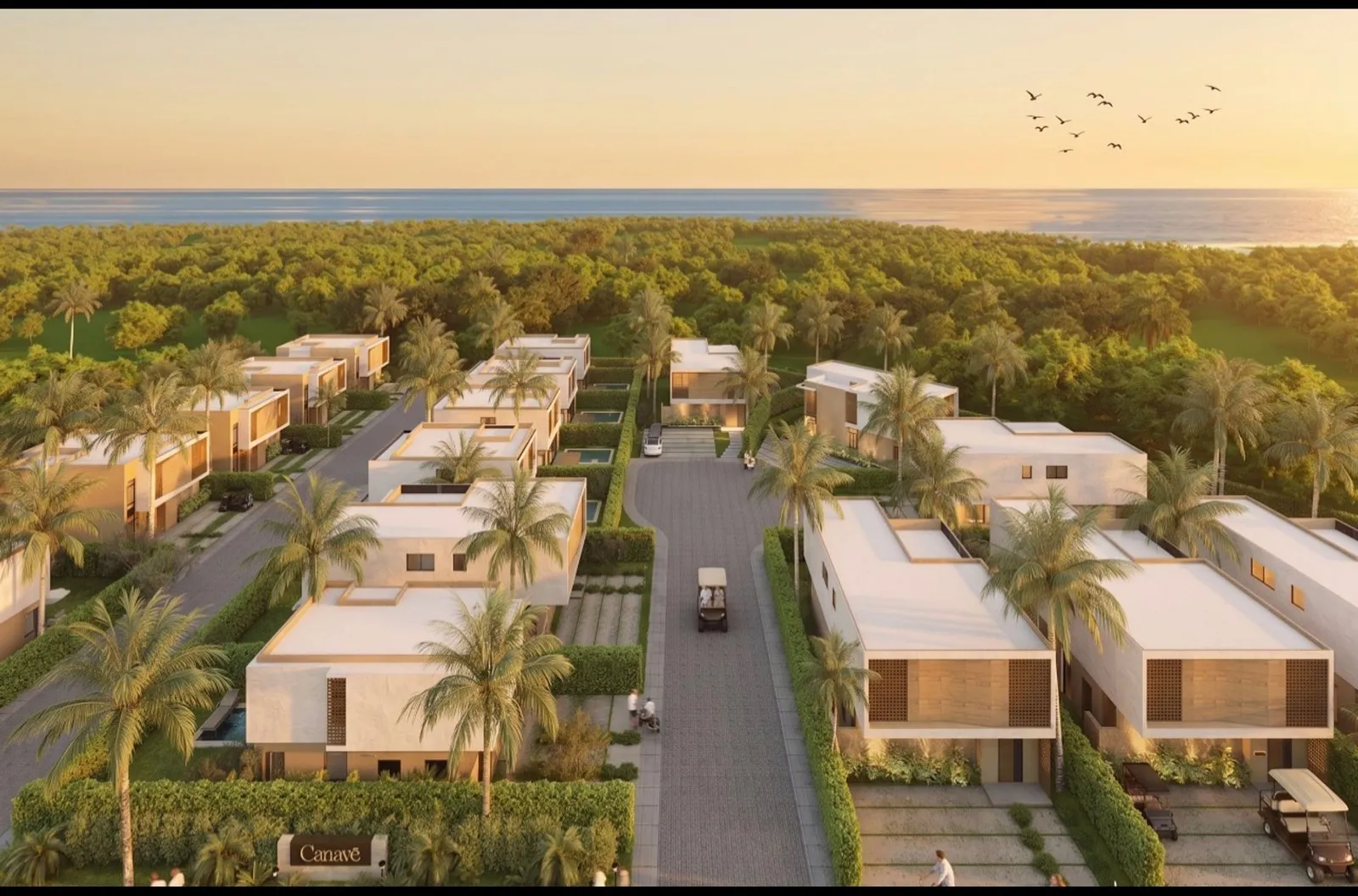 CANAVÉ Beyond Luxury, Vista Cana., photo 5