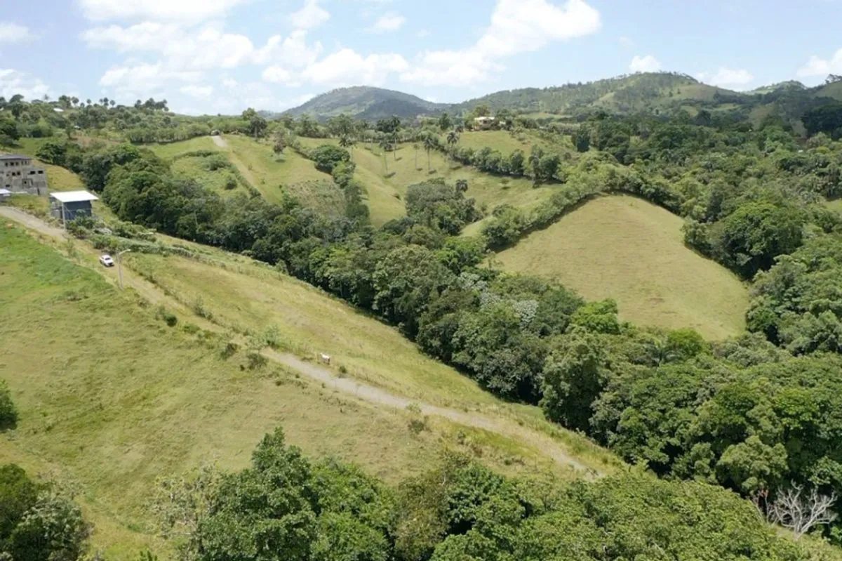 Terrain en vente à Crucero, Jarabacoa, photo 6