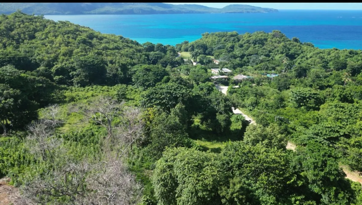 Terreno en venta en Las Terrenas, foto 7