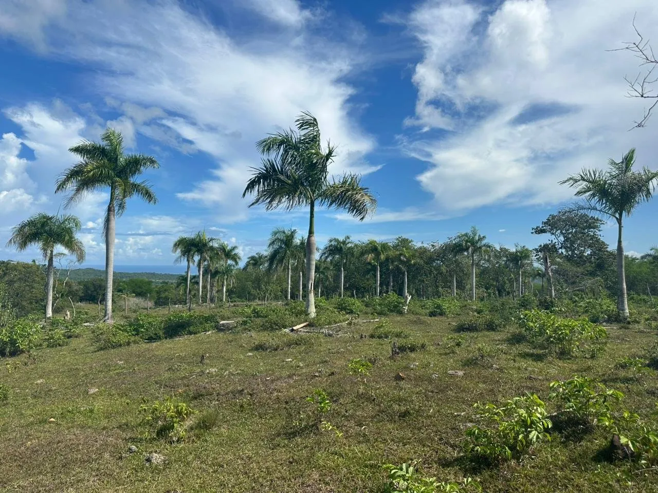Terreno a El Cupey, Puerto Plata – Vista sul Mare e sulla Montagna, foto 6