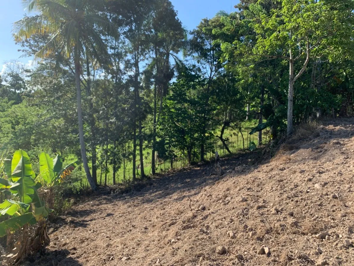 Terreno in vendita a Buena Vista,, foto 4