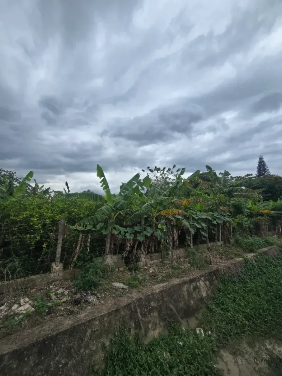 Terreno a Puñal, in vendita, foto principale