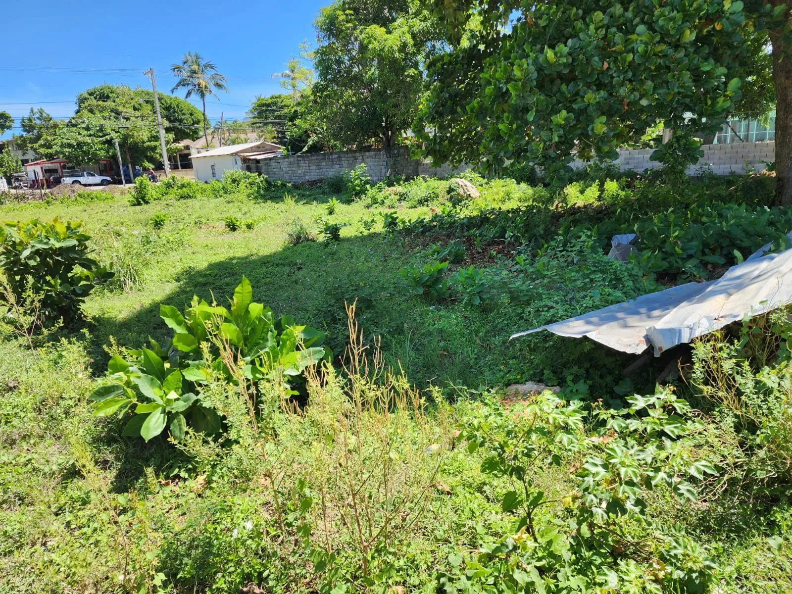VENTA DE TERRENO CABARETE, foto principal