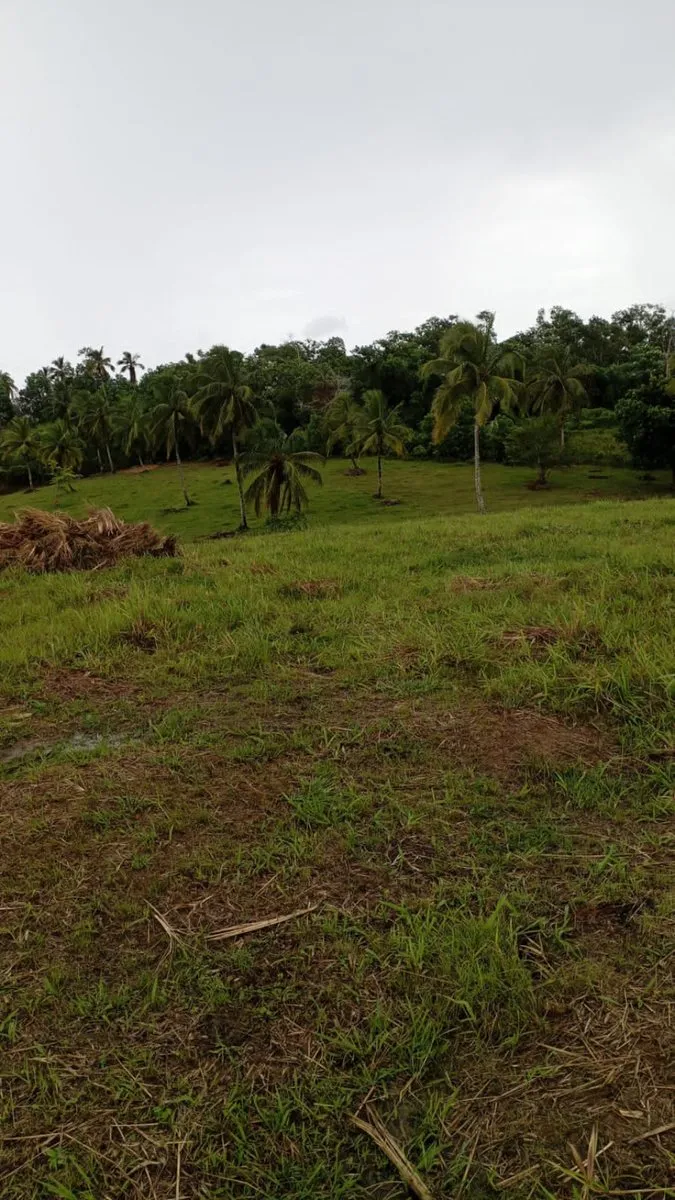 Terreno en Samaná, Juana Vicenta, foto 4