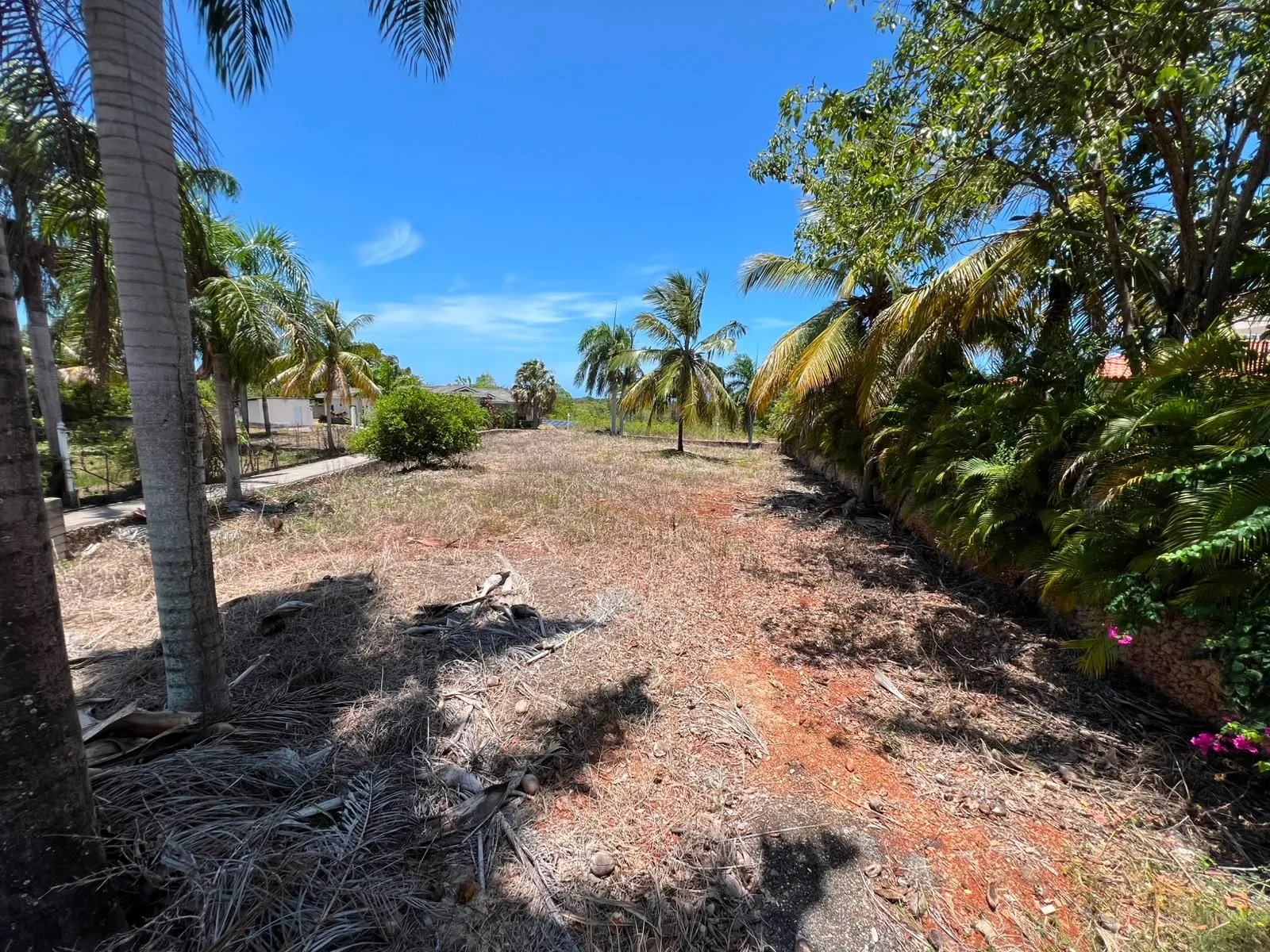Land for sale Lomas Mironas, photo 8