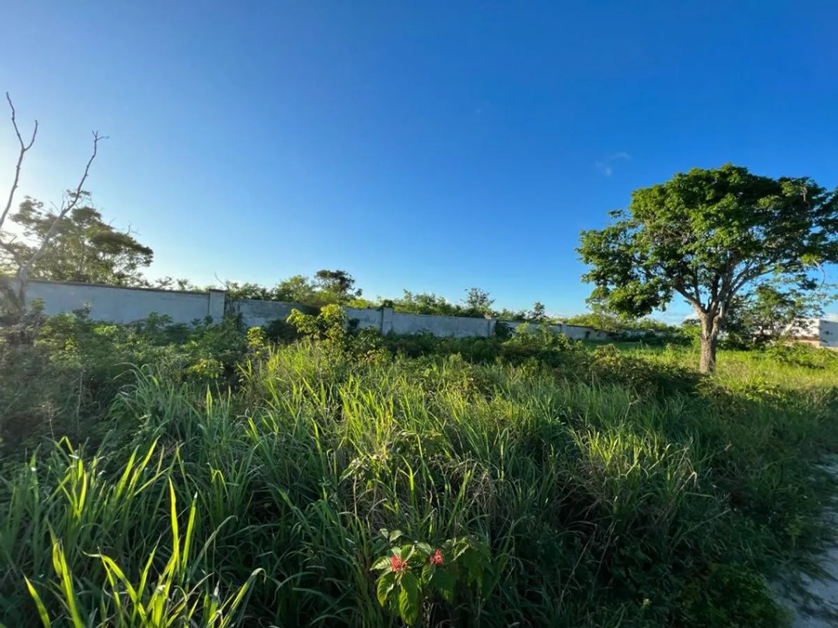 GRUNDSTÜCK IN RESIDENCIAL BÁVARO PUNTA CANA, Foto 3