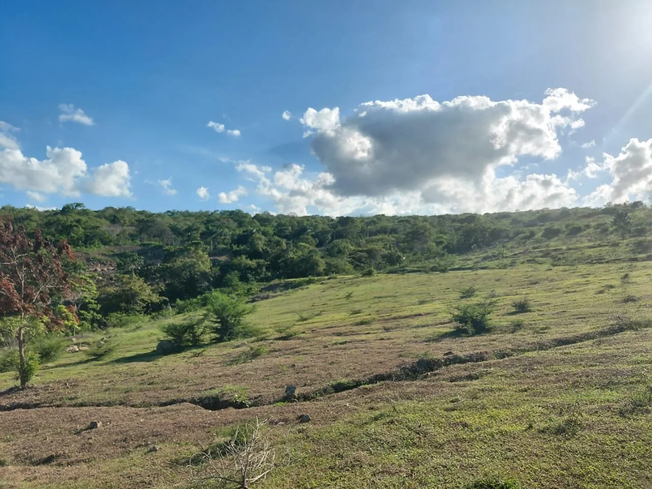 Altos de Bergantín – Terrains résidentiels à Puerto Plata, photo 10