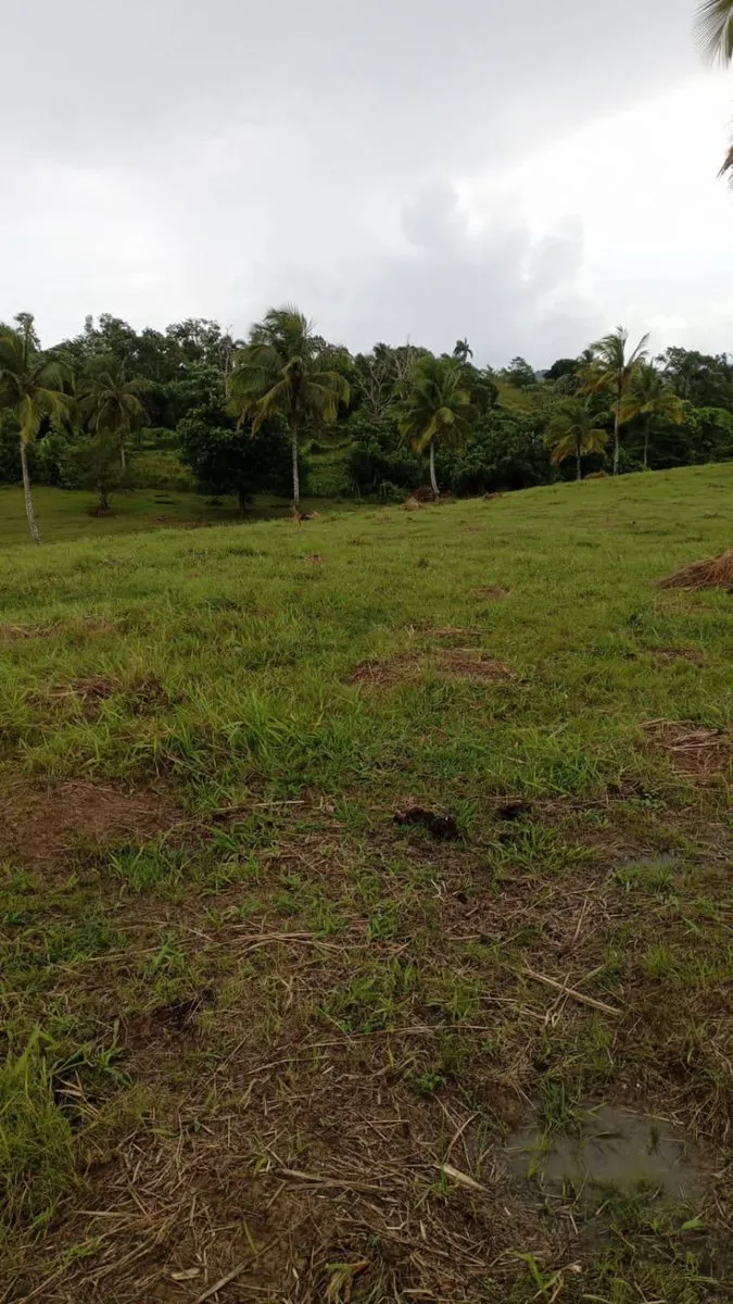 Grundstück in Samaná, Juana Vicenta, Foto 2