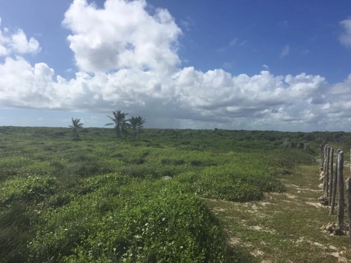 Terrain à Punta Cana, Higüey, photo 2