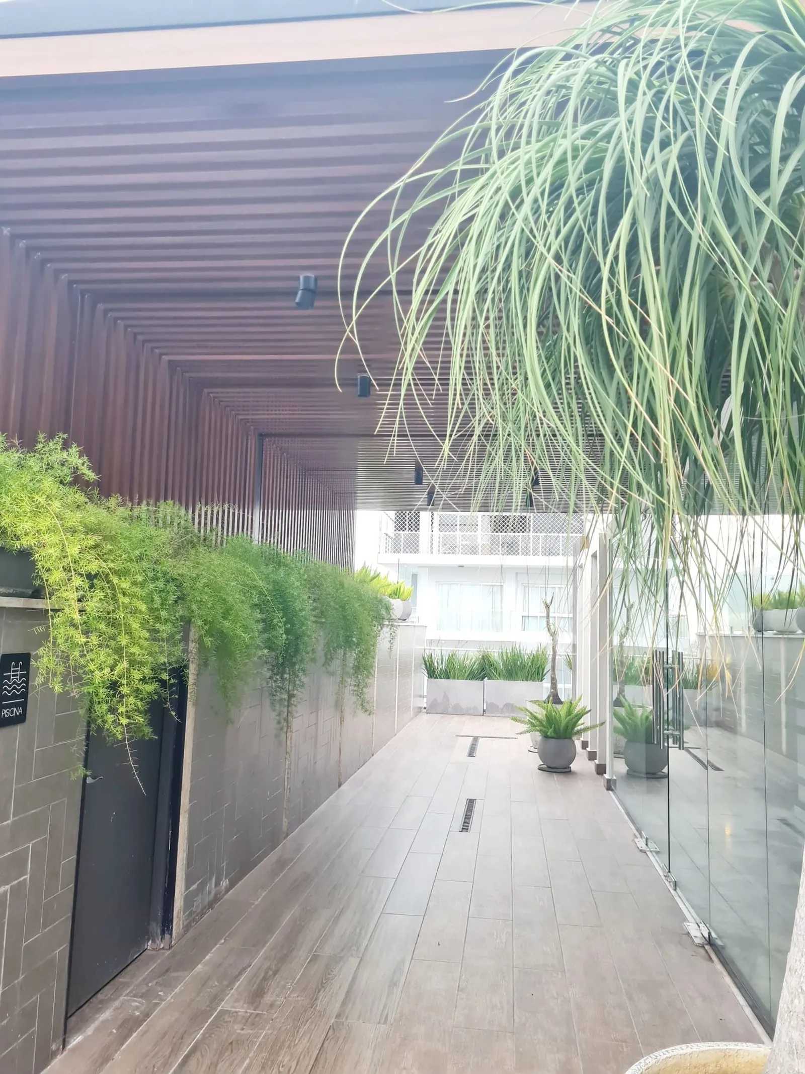 APPARTEMENT EN VENTE 1 CHAMBRE CALLE JOSE AMADO, photo 9