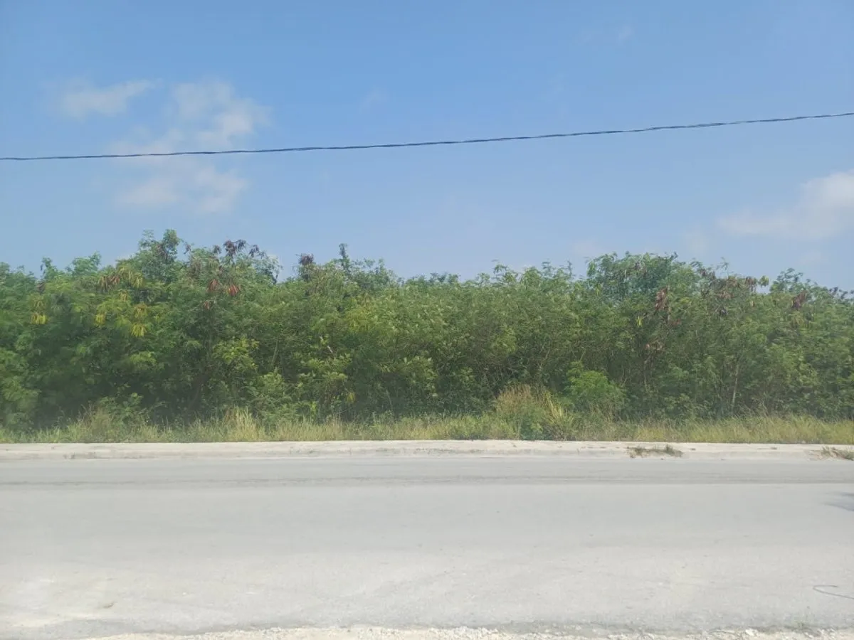 Terrain à Punta Cana, Bávaro, photo 3