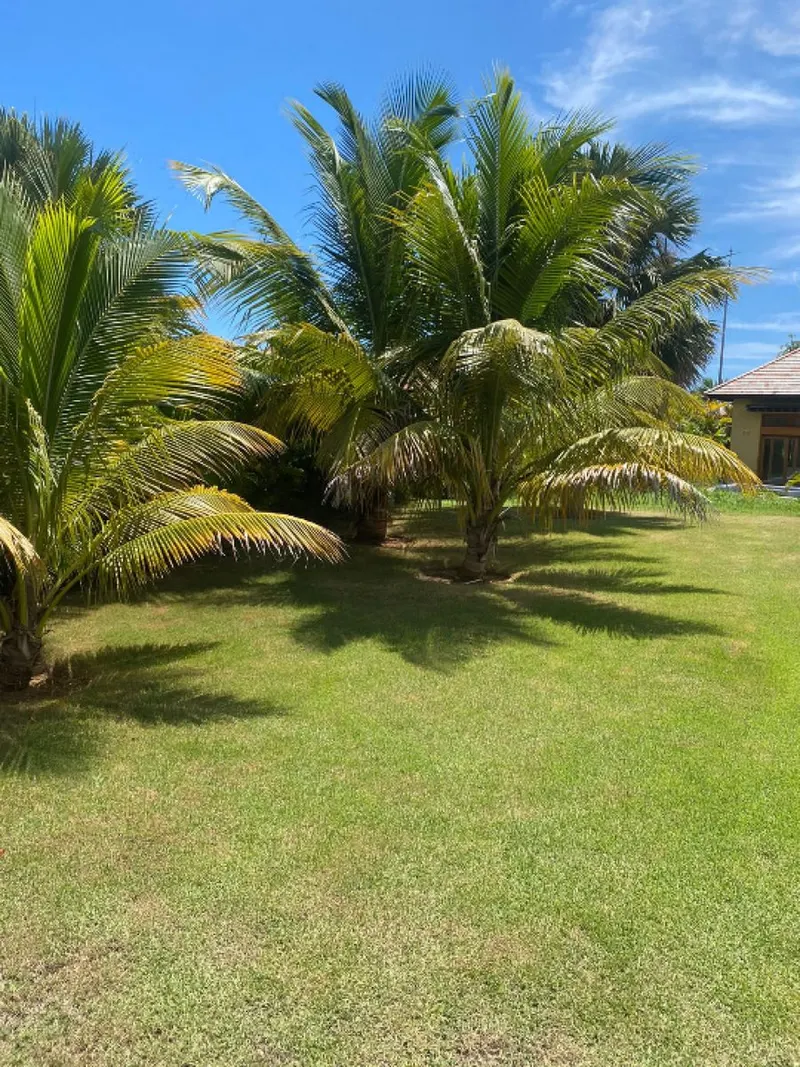 Maison à Cap Cana, Punta Cana, USD$ 795,000