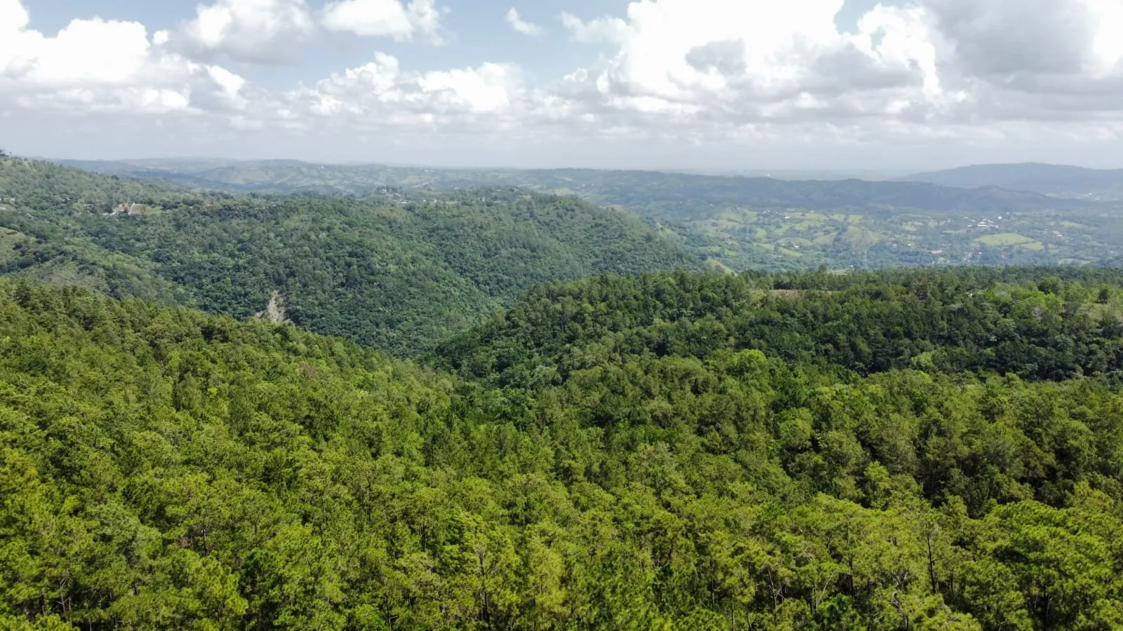 Opportunité Exceptionnelle d'Investissement dans un Terrain à Jarabacoa, photo 3