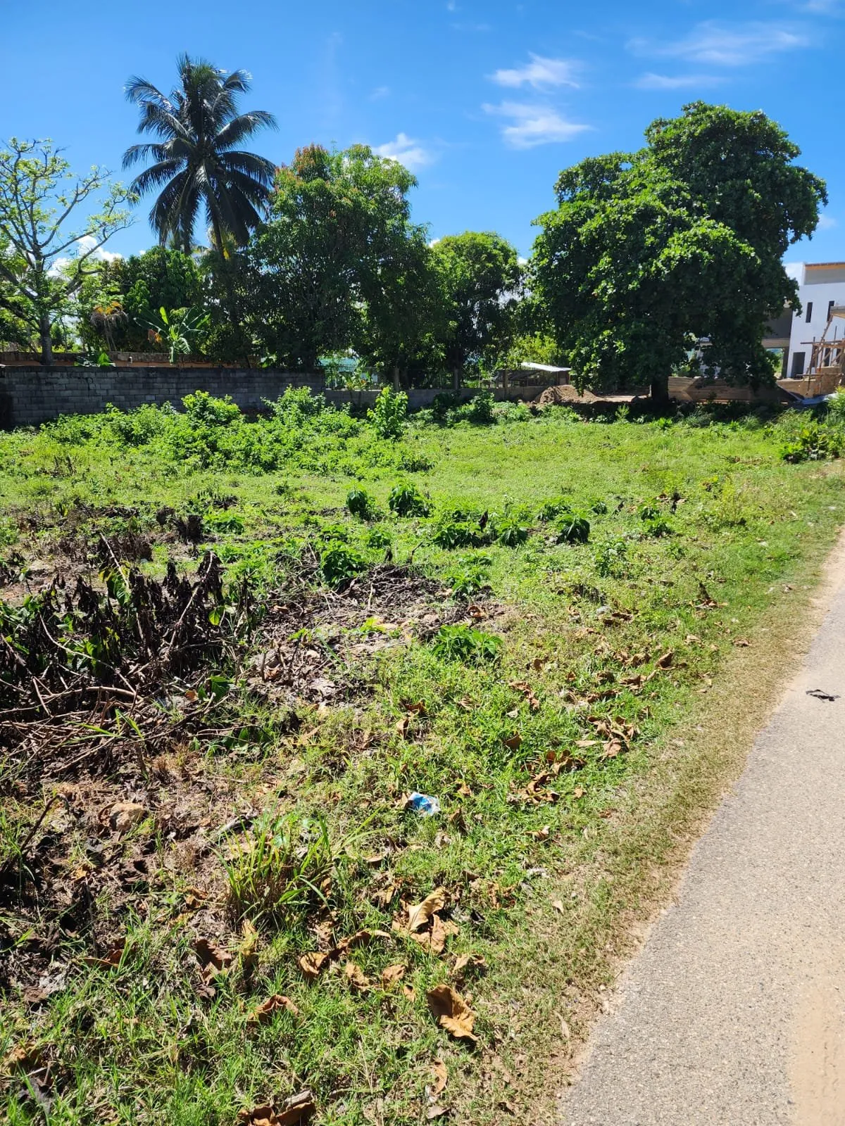 VENTA DE TERRENO CABARETE, foto 3
