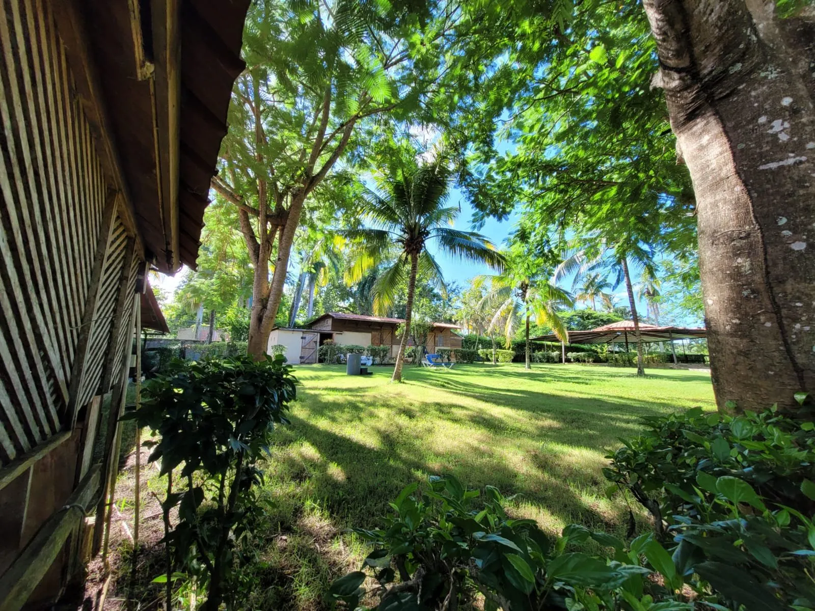 IN VENDITA – TENUTA DI CAMAGNA, foto 7