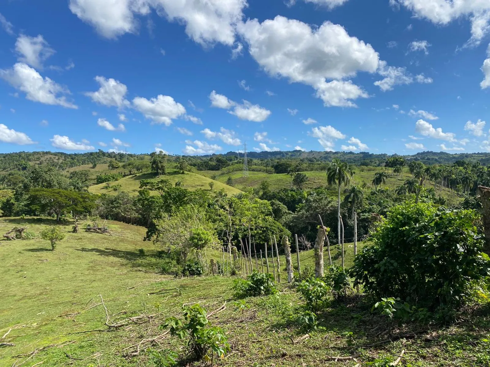 Terrain de 6 287 m² à Urb. Aurora | Rio San Juan, photo principale