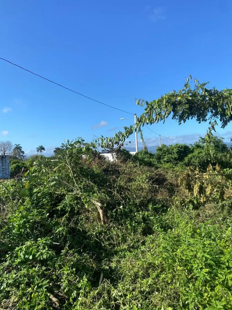 Terrain à Vendre à Río San Juan, Santa Lucía, USD$ 60,000