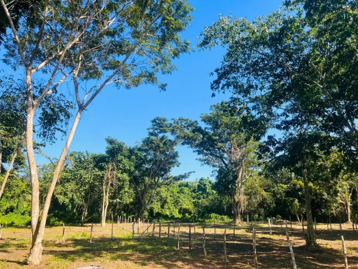 Grundstück in Santa Bárbara, Samaná, Foto 2