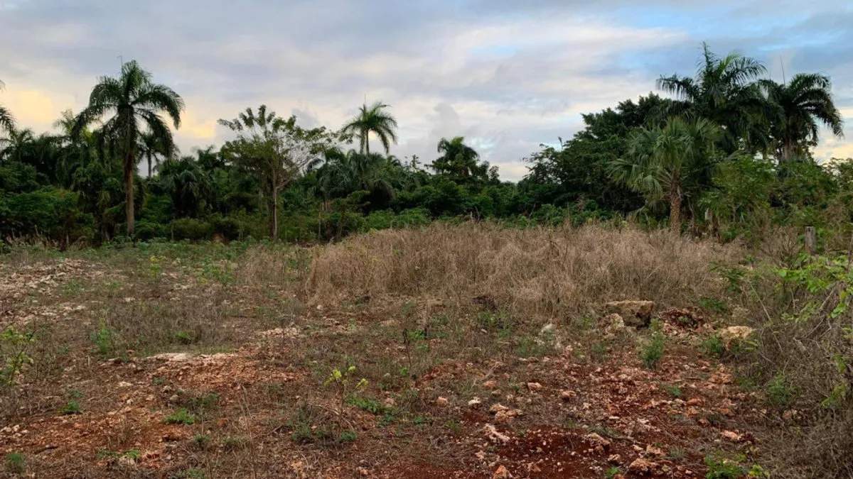 Terreno en Cabrera, El Jamo, 1122 m², foto 2