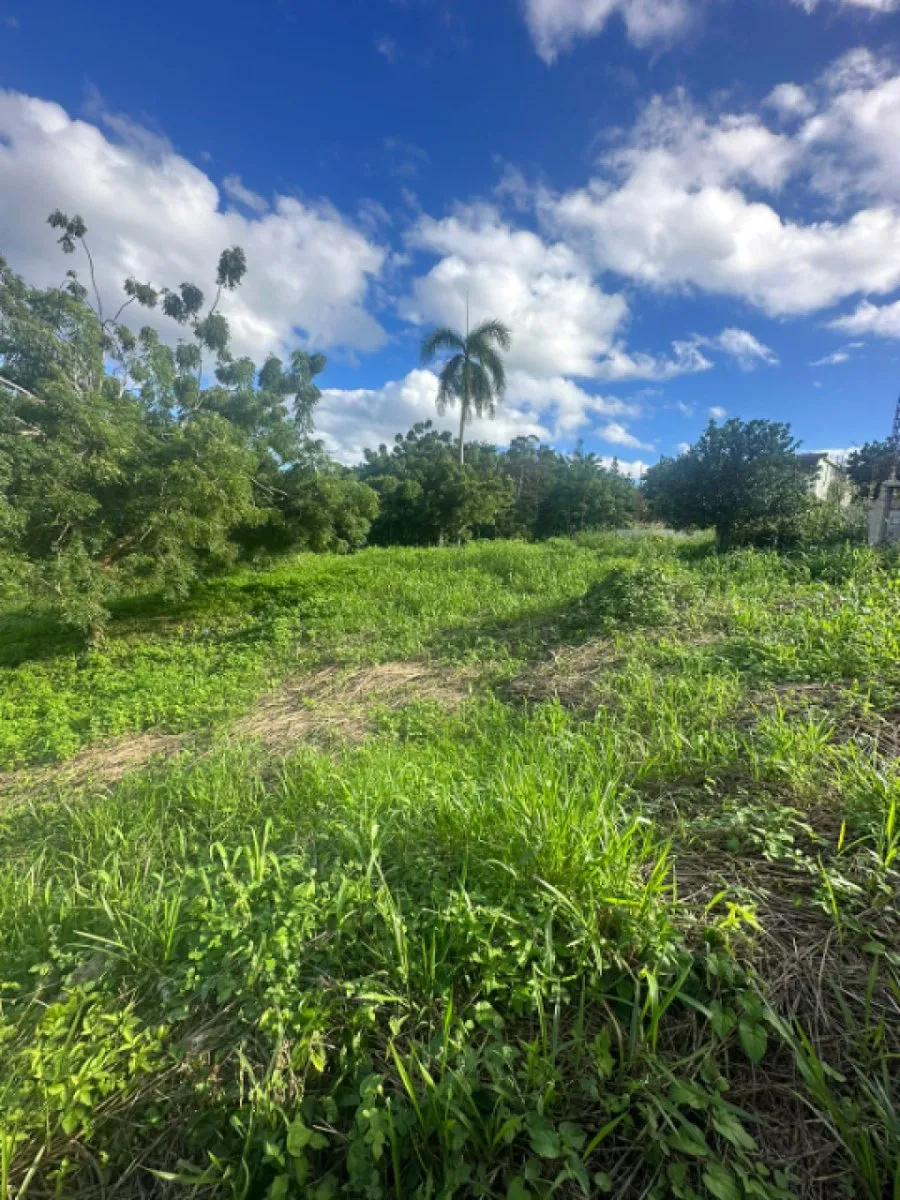 Terreno En Catalina Arriba, Cabrera, foto 4