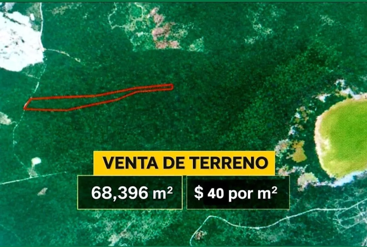Terrain à vendre à Punta Cana, photo 4