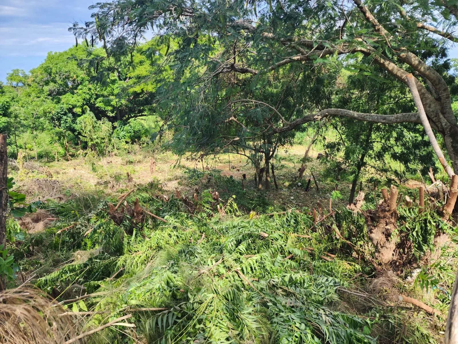 Corazón de Sosúa: Terreno en Venta en el Centro, foto 2