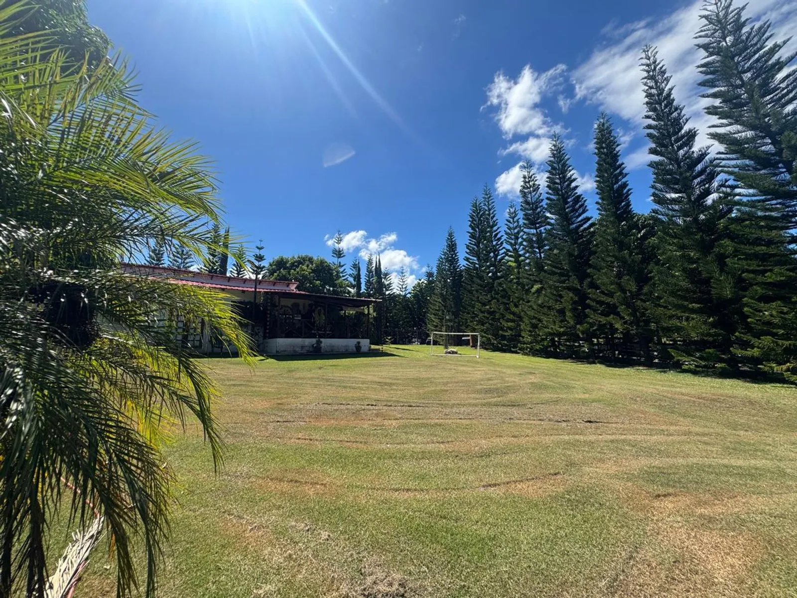 Villa with 2,000 m2 lot for sale, photo 3