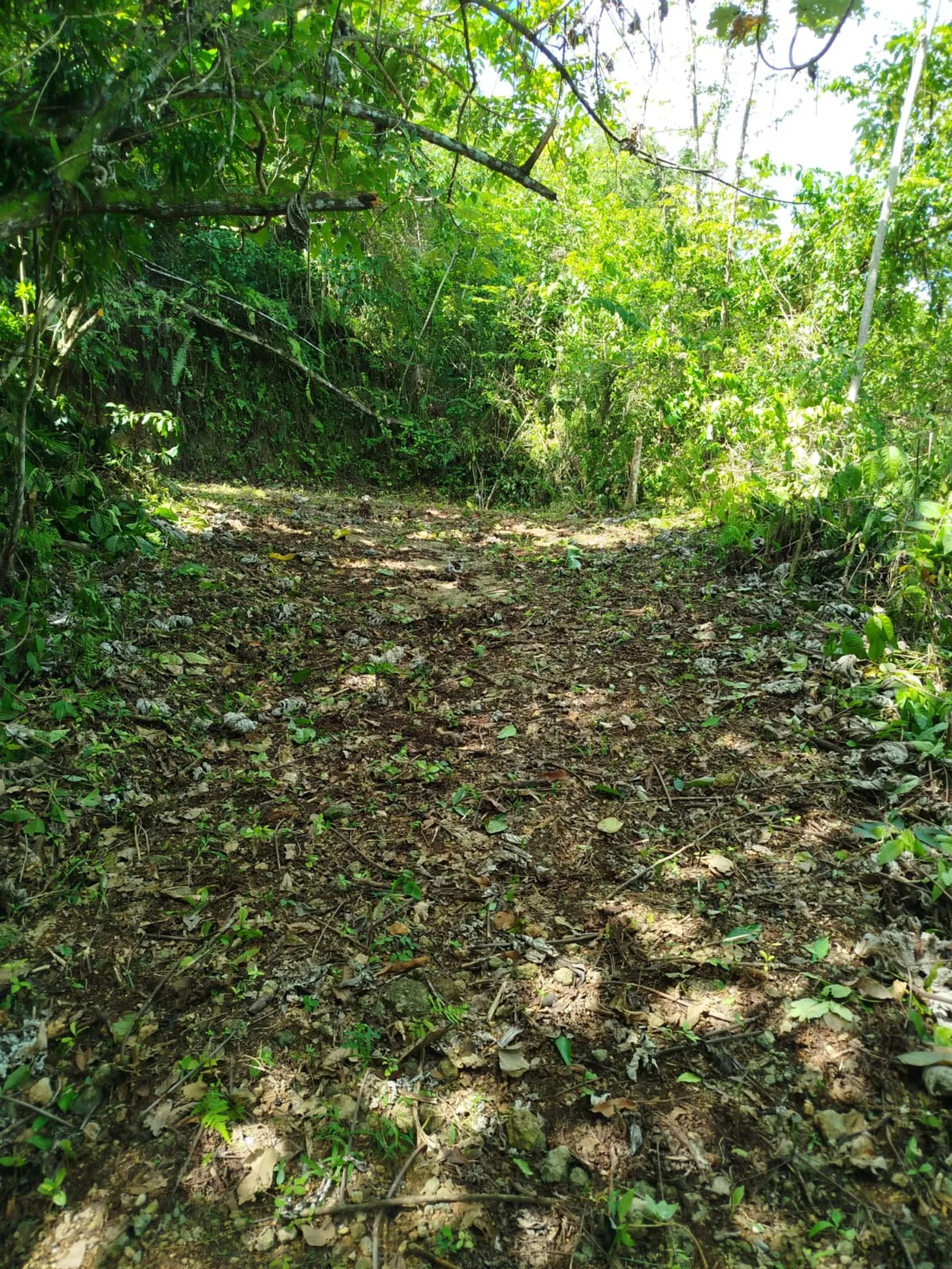 TERRENO EN VENTA EN LAS TERRENAS SAMANÁ, photo 9