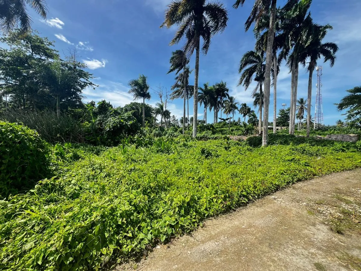 Land in Samaná Las Terrenas, Los Pescadores, photo 3