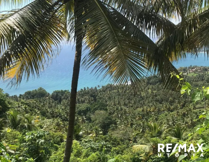 Grundstück in Río Los Cocos, Samaná, USD$ 6,500,000