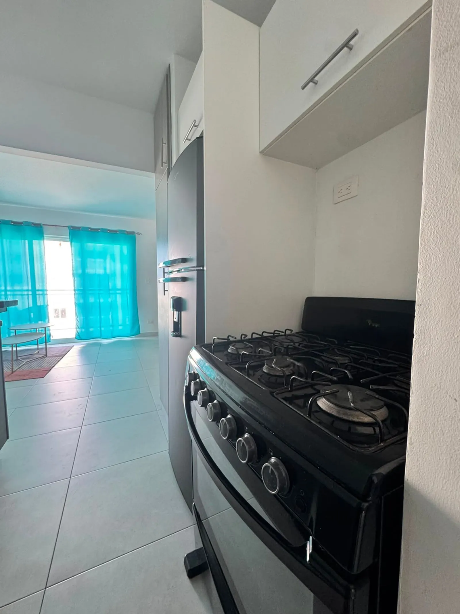 APARTAMENTO EN VENTA BAVARO PUNTA CANA, foto 5